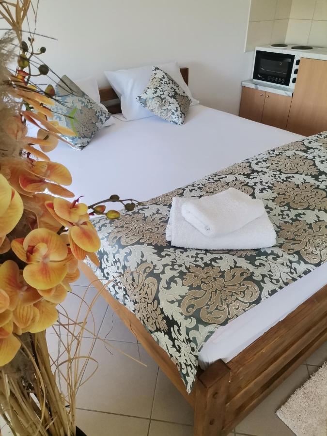 Apartmani - Vila Kovilje Banja Koviljača Kültér fotó