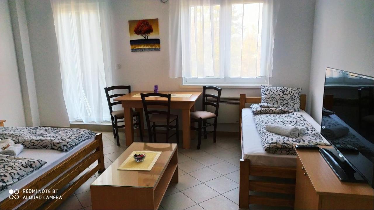 Apartmani - Vila Kovilje Banja Koviljača Kültér fotó