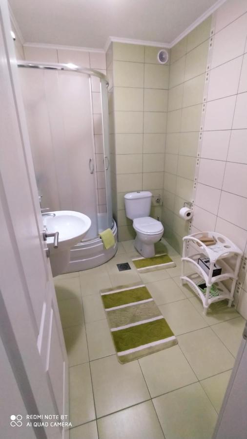 Apartmani - Vila Kovilje Banja Koviljača Kültér fotó