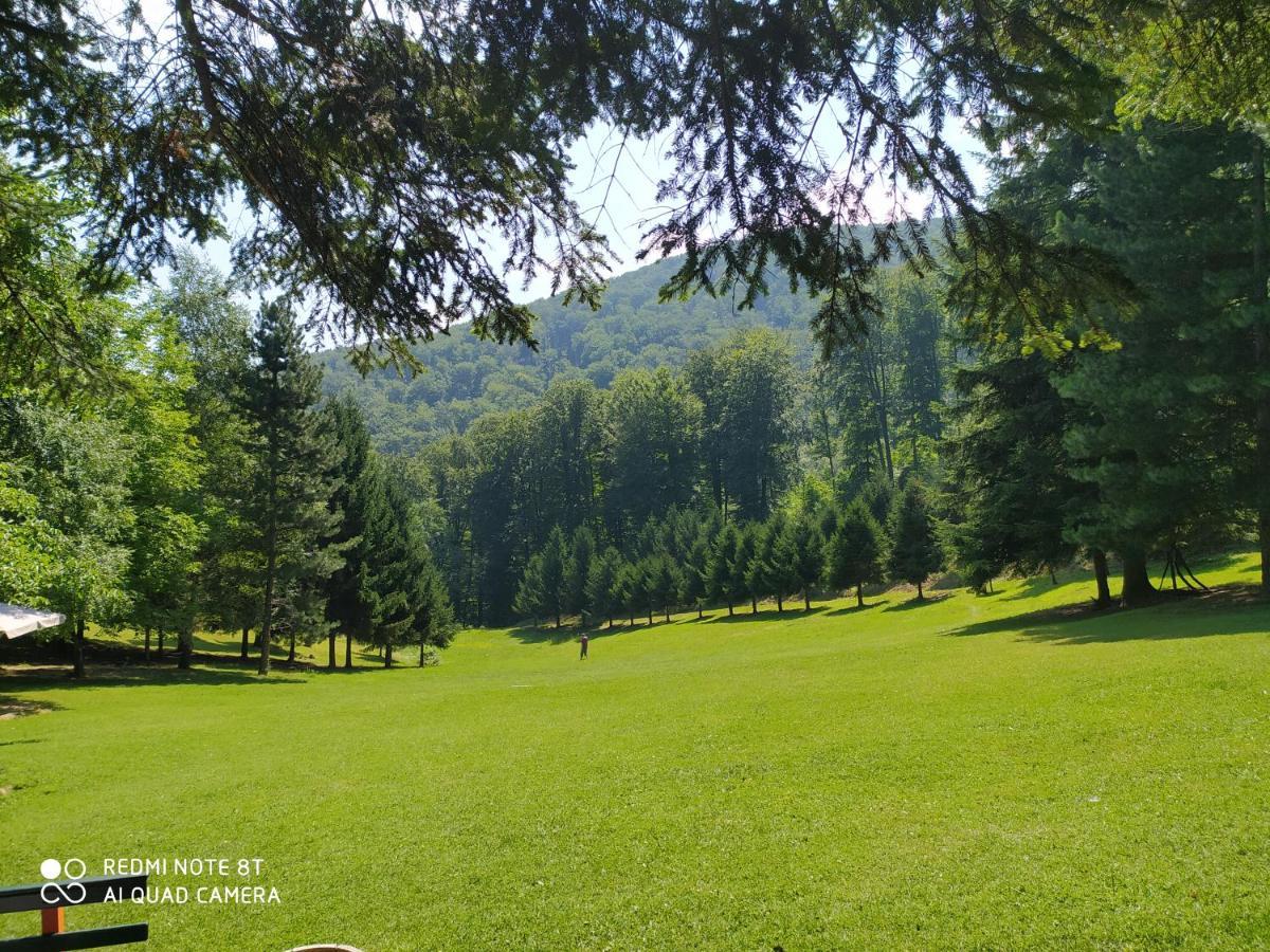 Apartmani - Vila Kovilje Banja Koviljača Kültér fotó