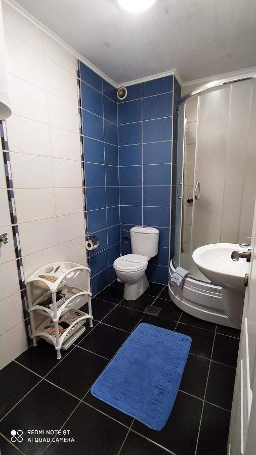 Apartmani - Vila Kovilje Banja Koviljača Kültér fotó