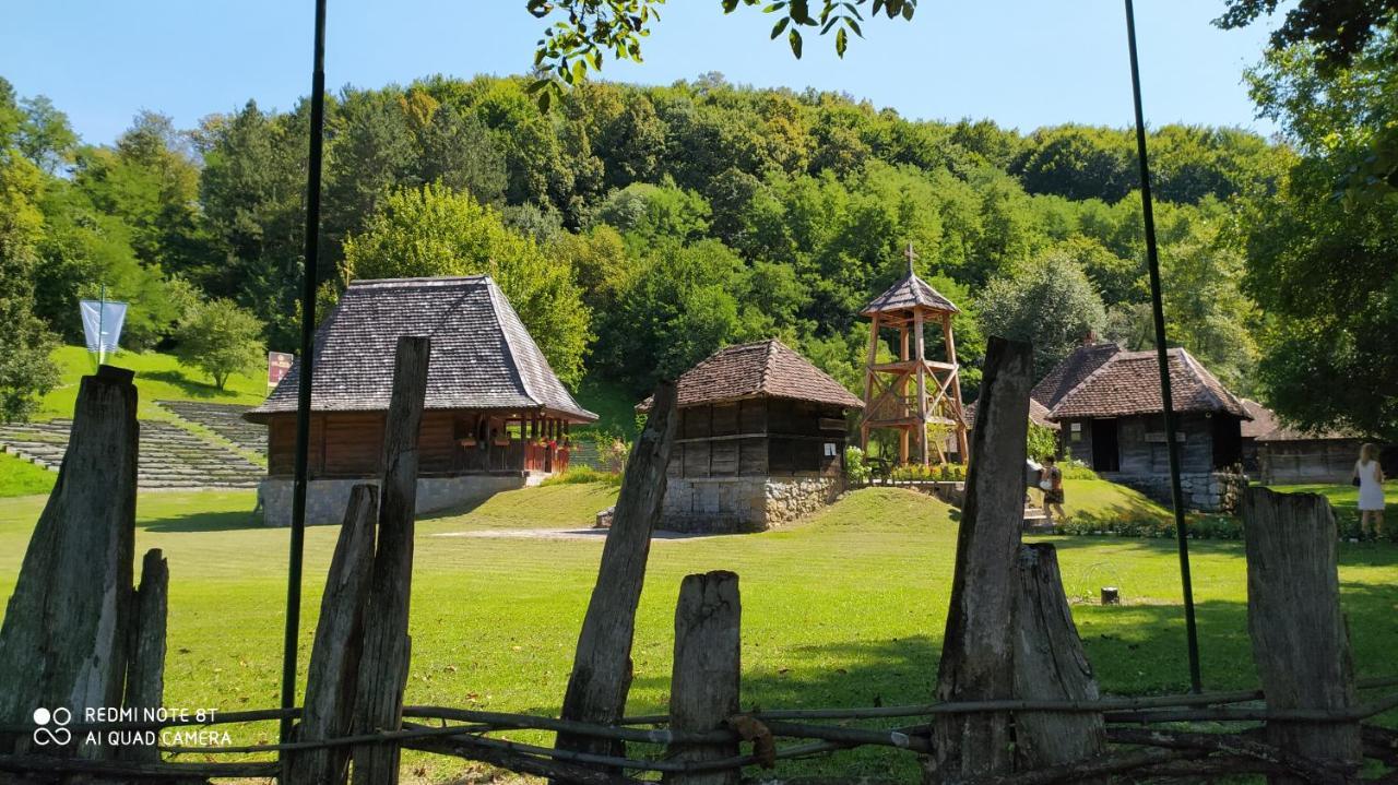 Apartmani - Vila Kovilje Banja Koviljača Kültér fotó