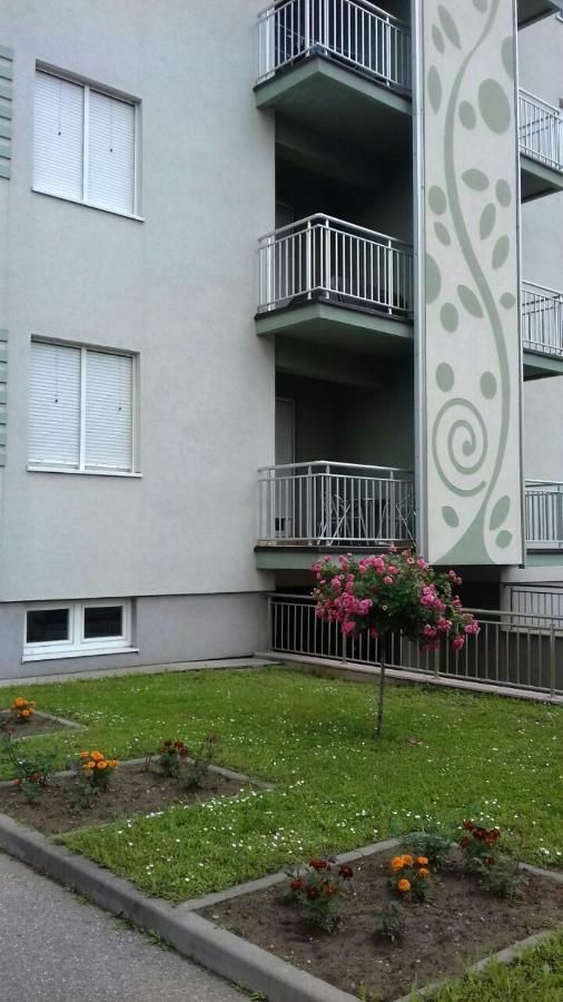 Apartmani - Vila Kovilje Banja Koviljača Kültér fotó