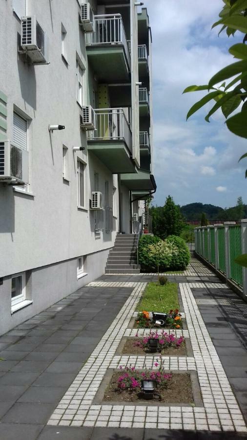 Apartmani - Vila Kovilje Banja Koviljača Kültér fotó