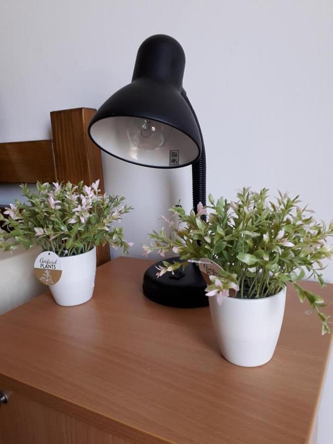 Apartmani - Vila Kovilje Banja Koviljača Kültér fotó
