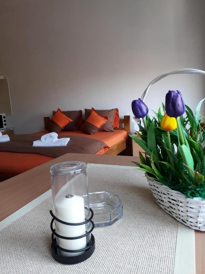 Apartmani - Vila Kovilje Banja Koviljača Kültér fotó